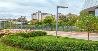 Профессиональное озеленение улиц в Белой Калитве в октябре